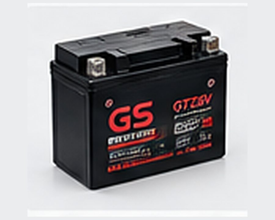 Bình ắc quy GS GTZ5S